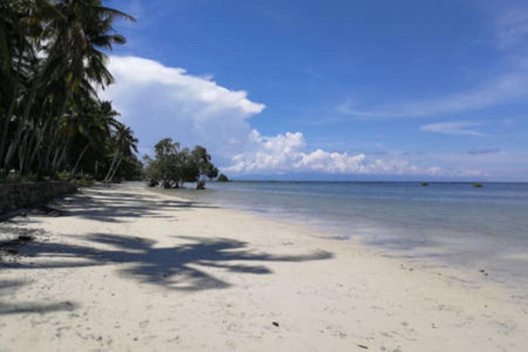 Bamboo Nest Beachfront Puerto Princesa ภายนอก รูปภาพ